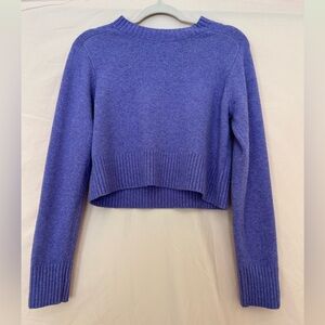 COPY - Purple Crewneck Sweater
